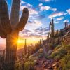 toms-thumb-trail-leads-through-beautiful-sonoran-desert-mountain-landscape-towards-an-awesome
